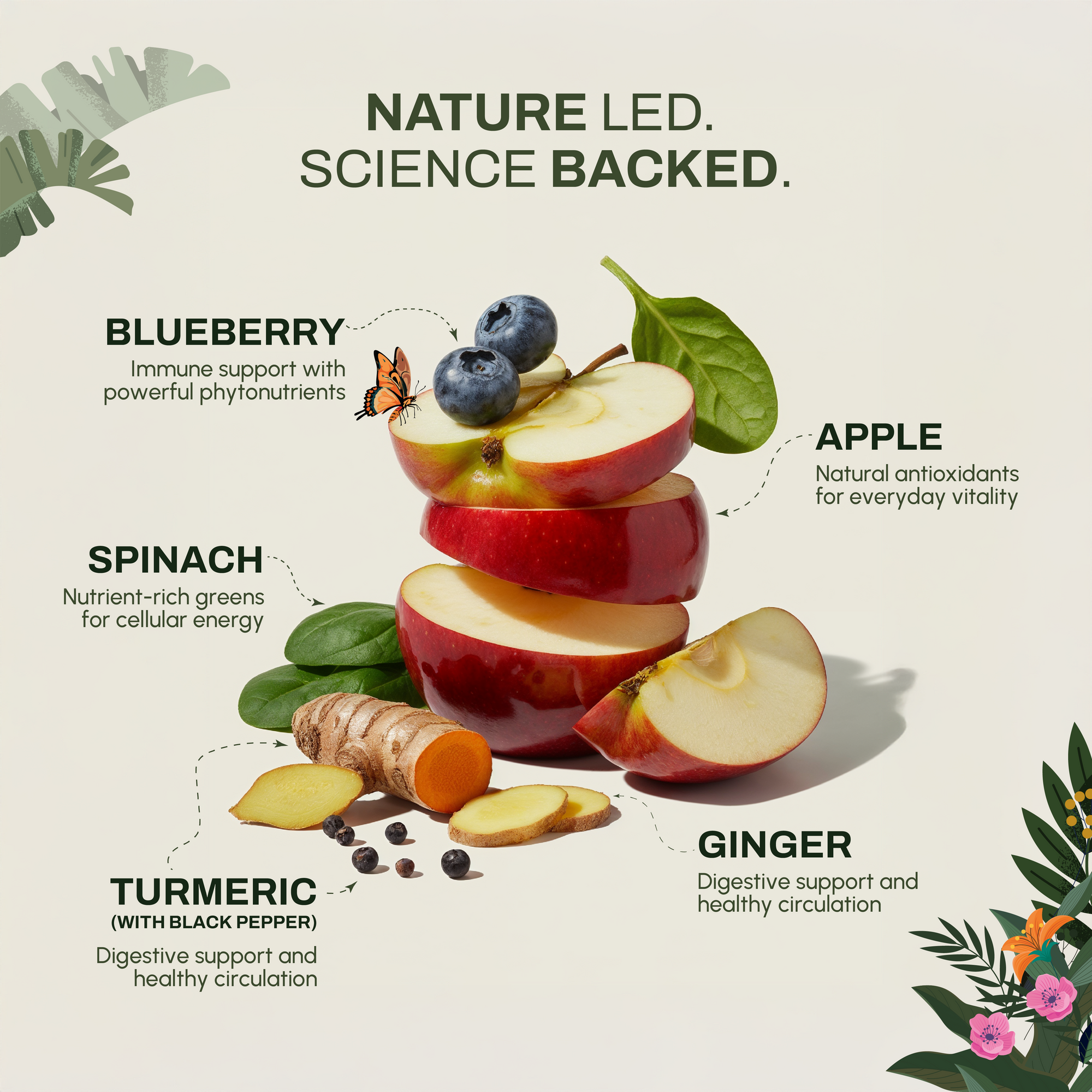 Apple Vitality Bites | Immunity & Antioxidant Support | Freeze-Dried Functional Treat