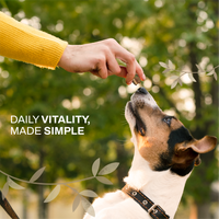 Apple Vitality Bites | Immunity & Antioxidant Support | Freeze-Dried Functional Treat
