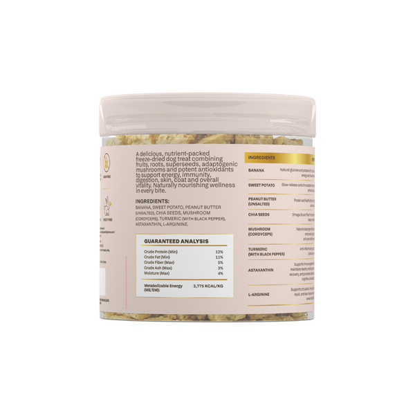 Banana & Mushroom Wellness Bites | Adaptogenic & Immune Support | Freeze-Dried Functional Treat - alternate view