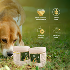 Banana & Mushroom Wellness Bites | Adaptogenic & Immune Support | Freeze-Dried Functional Treat