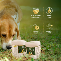 Banana & Mushroom Wellness Bites | Adaptogenic & Immune Support | Freeze-Dried Functional Treat