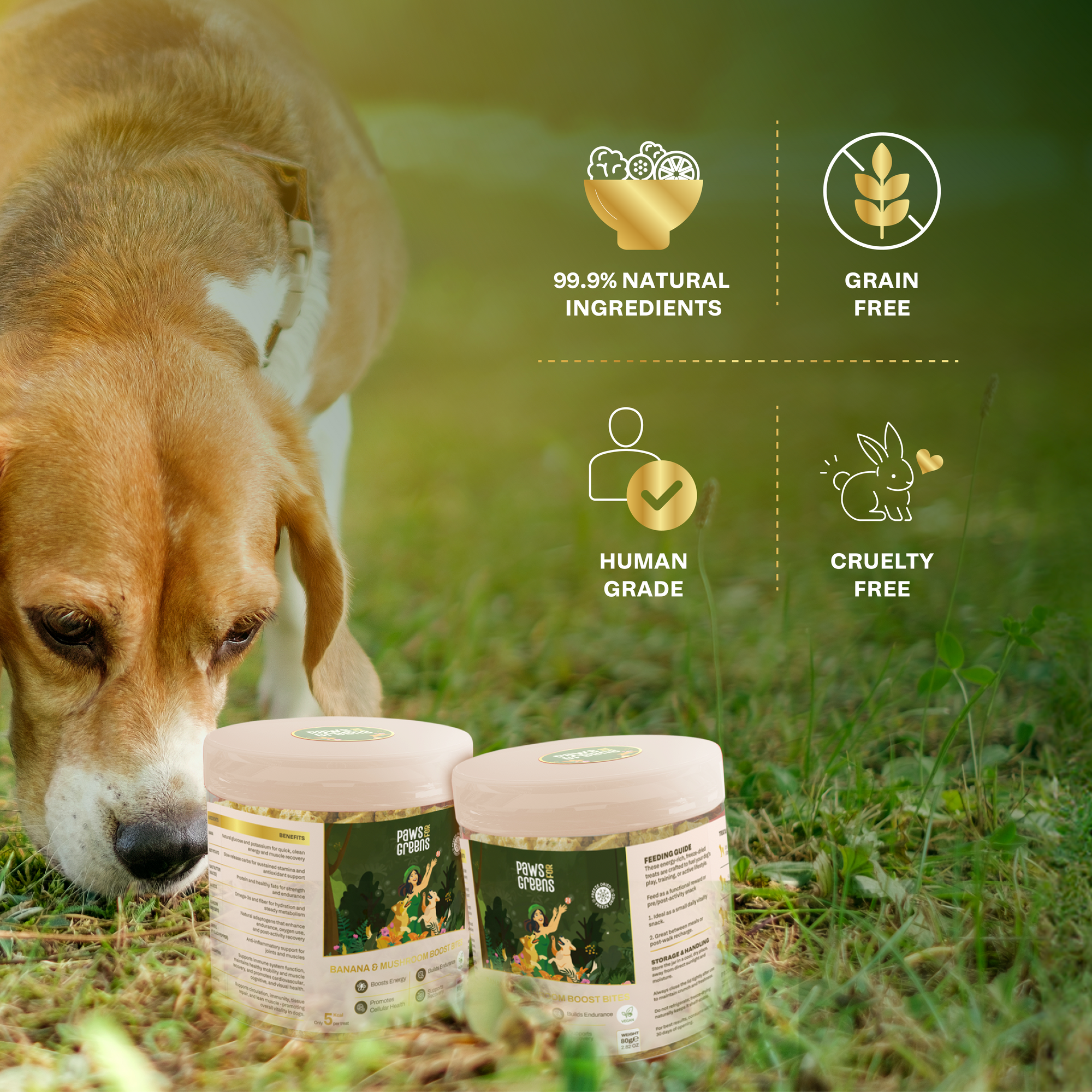 Banana & Mushroom Wellness Bites | Adaptogenic & Immune Support | Freeze-Dried Functional Treat