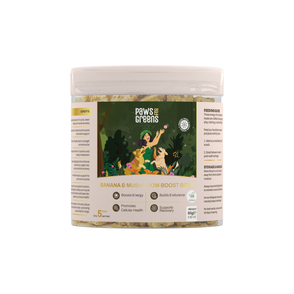 Banana & Mushroom Wellness Bites | Adaptogenic & Immune Support | Freeze-Dried Functional Treat