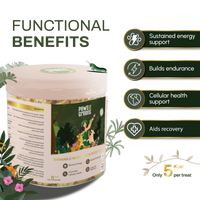 Banana & Mushroom Wellness Bites | Adaptogenic & Immune Support | Freeze-Dried Functional Treat