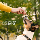 Banana & Mushroom Wellness Bites | Adaptogenic & Immune Support | Freeze-Dried Functional Treat