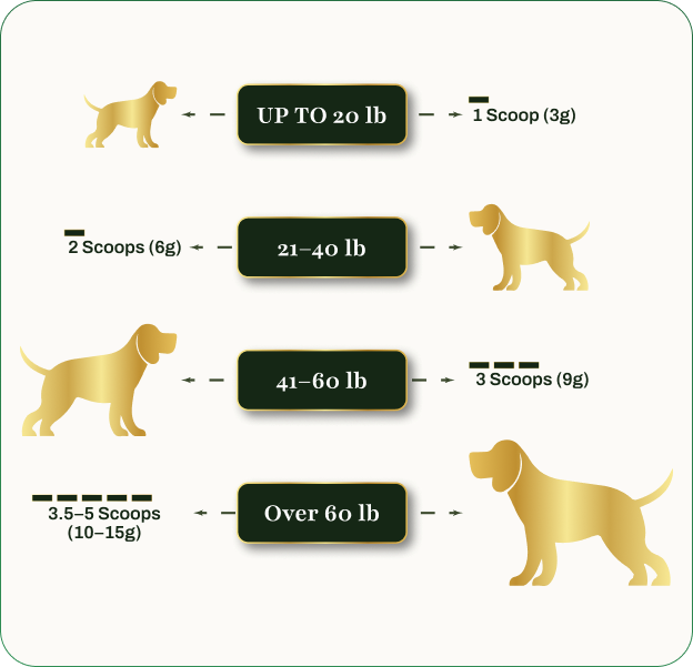 Feeding Guide