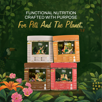 Coconut Skin & Coat Glow Bites | Omega & Skin Nourishment | Freeze-Dried Functional Treat for India