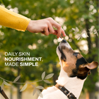 Coconut Skin & Coat Glow Bites | Omega & Skin Nourishment | Freeze-Dried Functional Treat for India