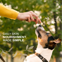 Coconut Skin & Coat Glow Bites | Omega & Skin Nourishment | Freeze-Dried Functional Treat for India