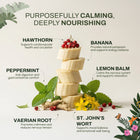 Calming Herbal Wellness Blend | Stress & Emotional Support | Functional Herbal Tea in India
