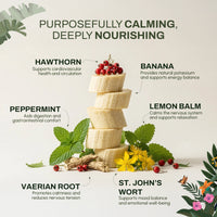 Calming Herbal Wellness Blend | Stress & Emotional Support | Functional Herbal Tea in India