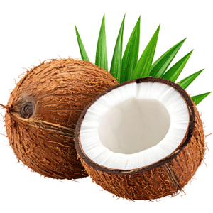 Coconut