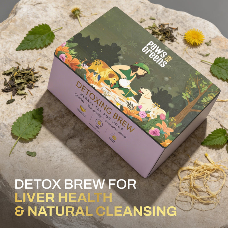 Detoxing Brew | Liver & Natural Cleansing Support | Herbal Wellness Blend in India