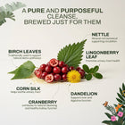 Detoxing Brew | Liver & Natural Cleansing Support | Herbal Wellness Blend in India