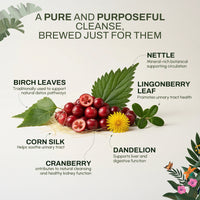 Detoxing Brew | Liver & Natural Cleansing Support | Herbal Wellness Blend in India