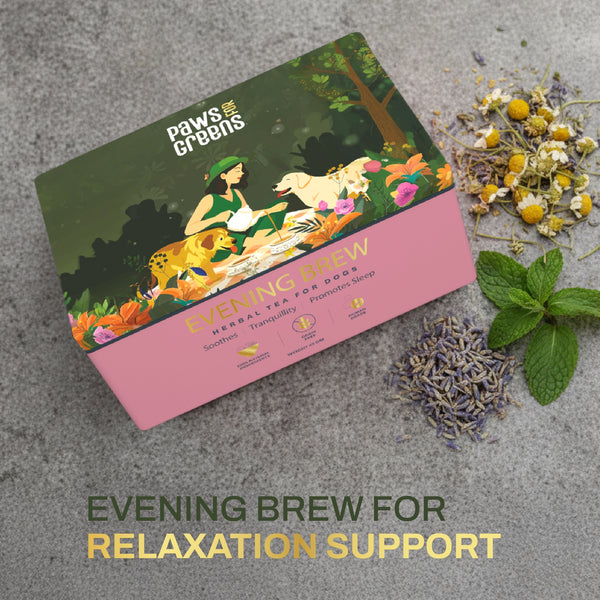 Evening Brew | Relaxation & Wind-Down Support | Herbal Wellness Blend in India