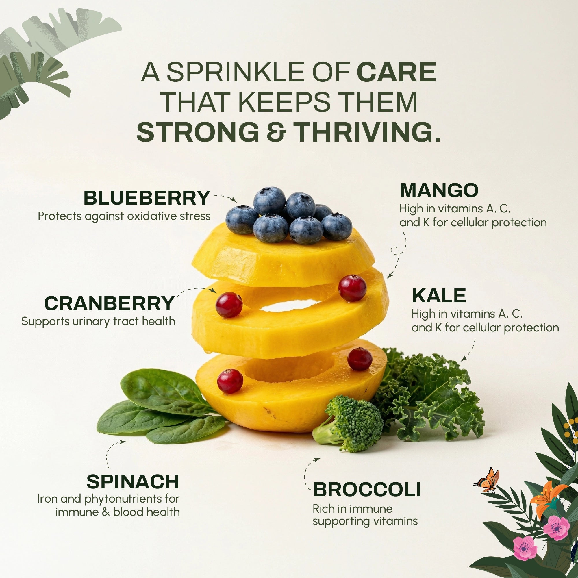 Immunity Support Booster | Immune Defense & Antioxidant Support | Functional Superfood Blend in India