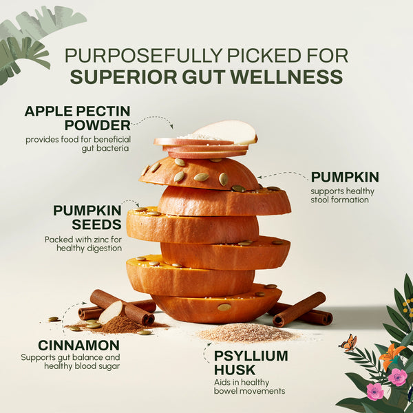 Pumpkin Digestion Bites | Digestive & Gut Support | Freeze-Dried Functional Treat for India - alternate view