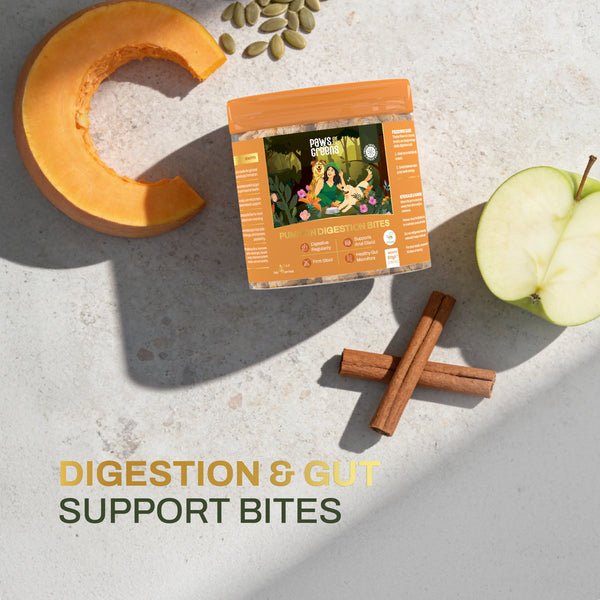 Pumpkin Digestion Bites | Digestive & Gut Support | Freeze-Dried Functional Treat for India