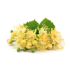 Linden