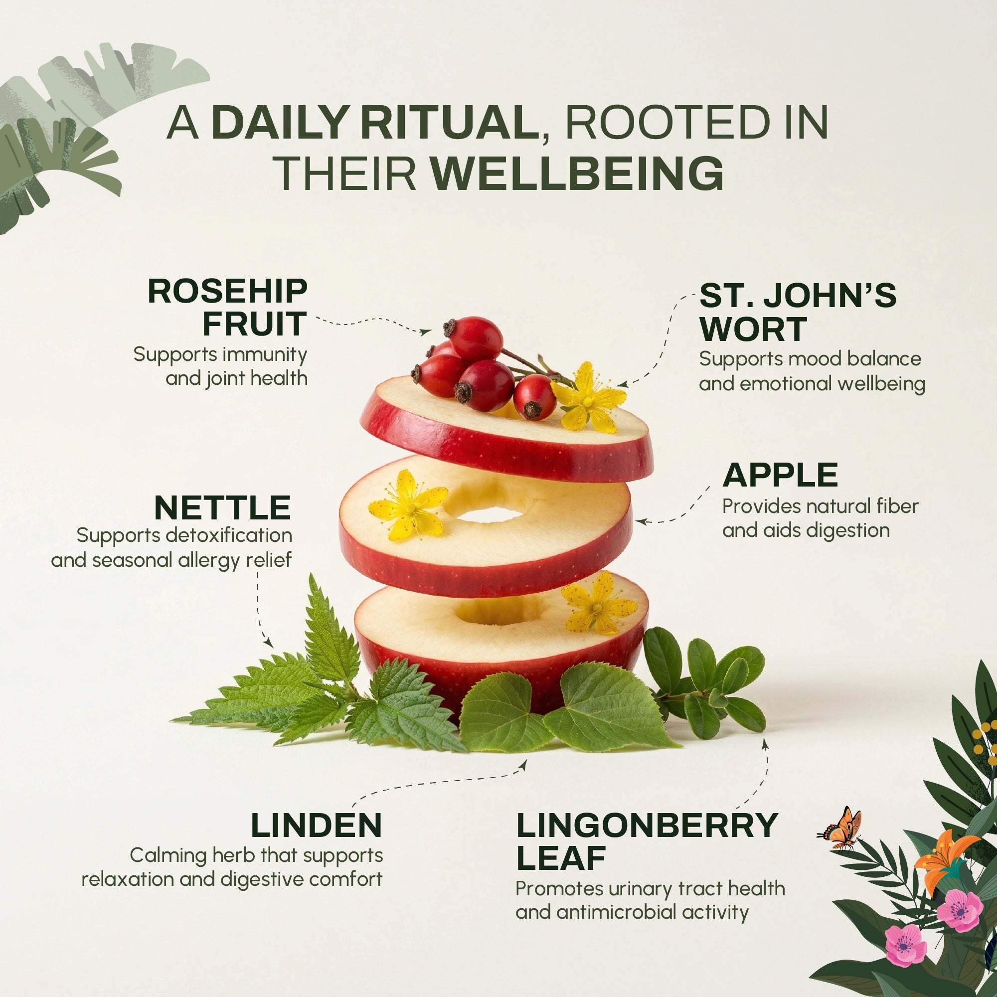 Morning Brew | Natural Energy & Vitality Support | Herbal Wellness Blend in India