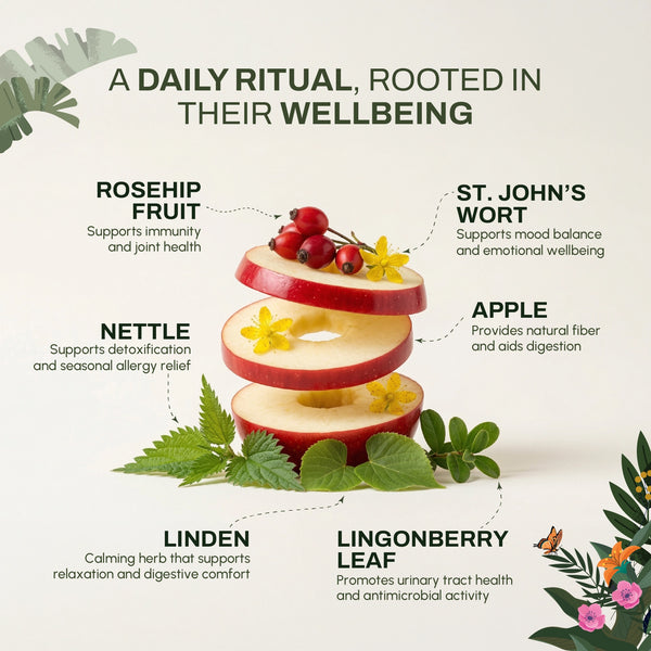Morning Brew | Natural Energy & Vitality Support | Herbal Wellness Blend in India - alternate view