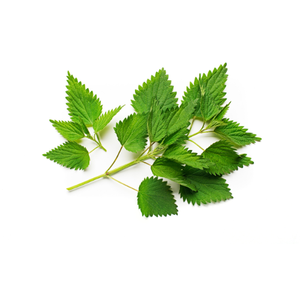 Nettle 