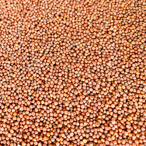 Ragi