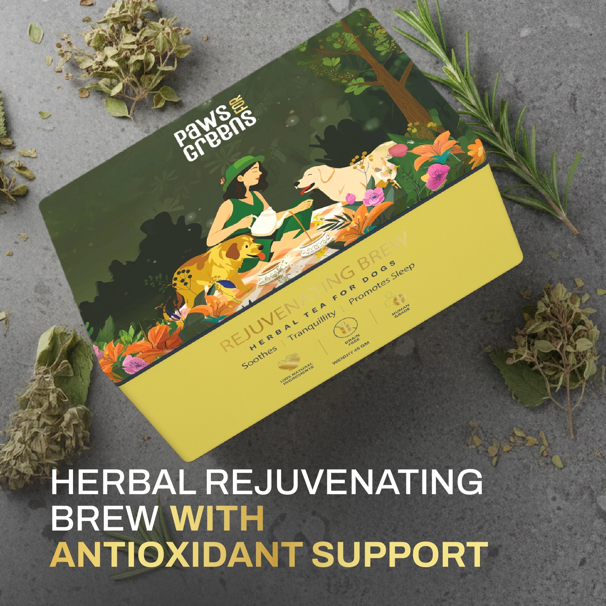 Rejuvenating Brew | Cellular & Antioxidant Support | Herbal Wellness Blend in India
