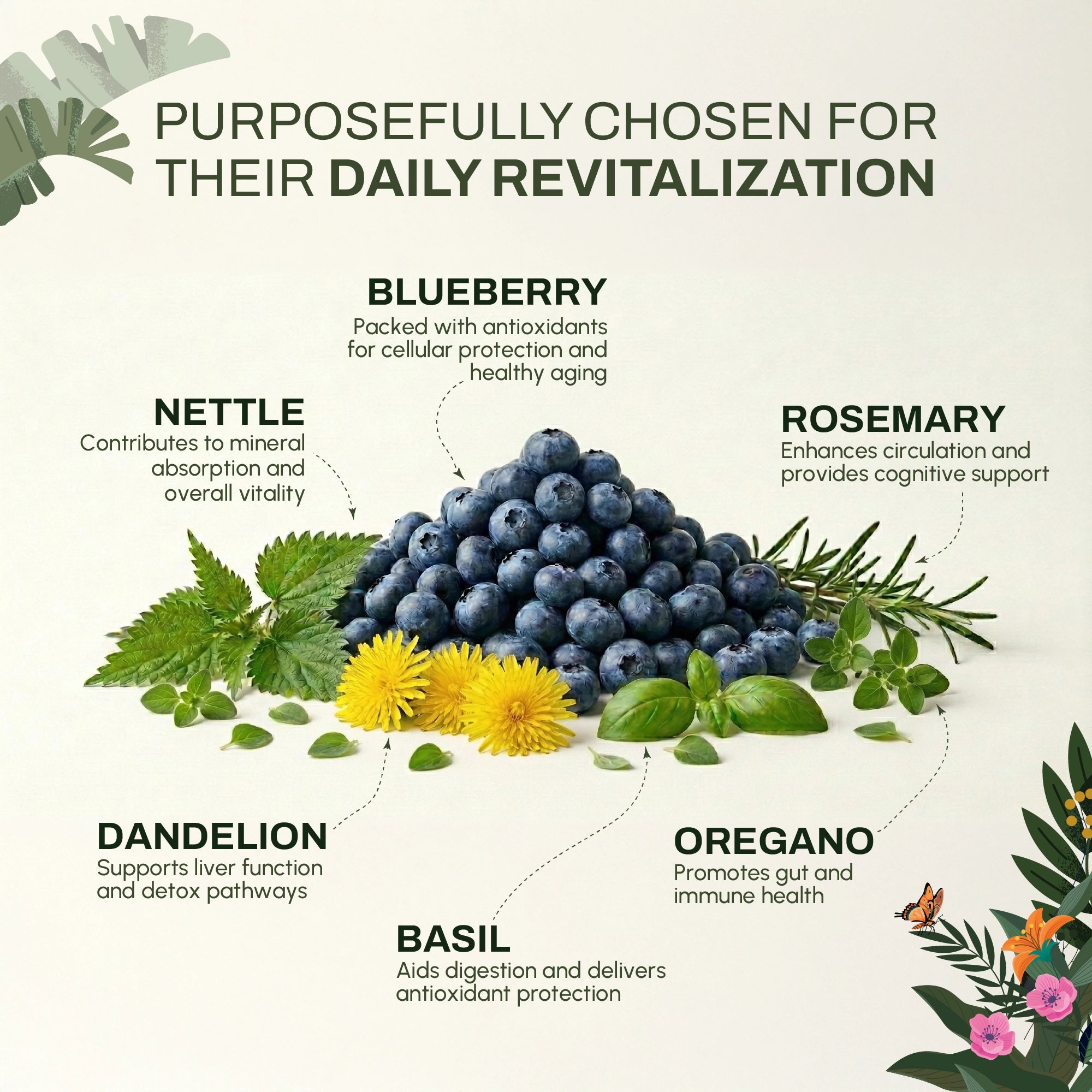 Rejuvenating Brew | Cellular & Antioxidant Support | Herbal Wellness Blend in India