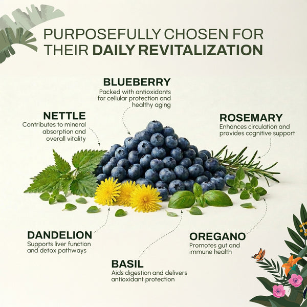 Rejuvenating Brew | Cellular & Antioxidant Support | Herbal Wellness Blend in India - alternate view
