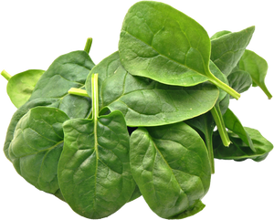 Spinach 