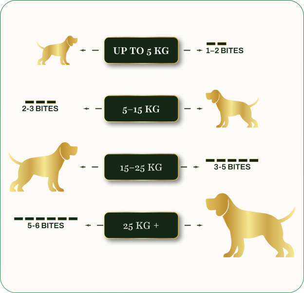 Feeding Guide