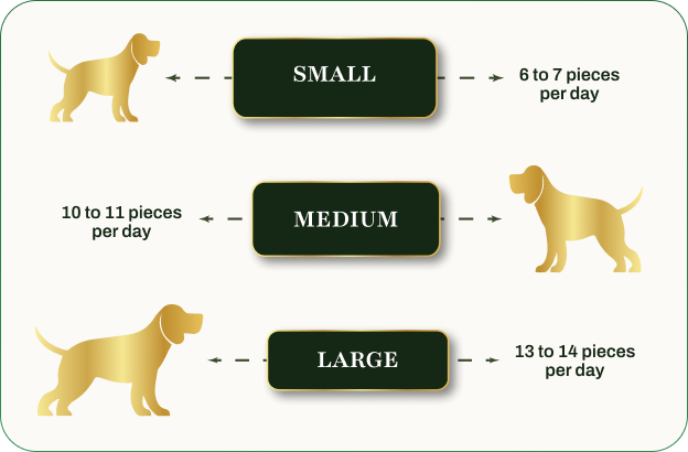 Feeding Guide