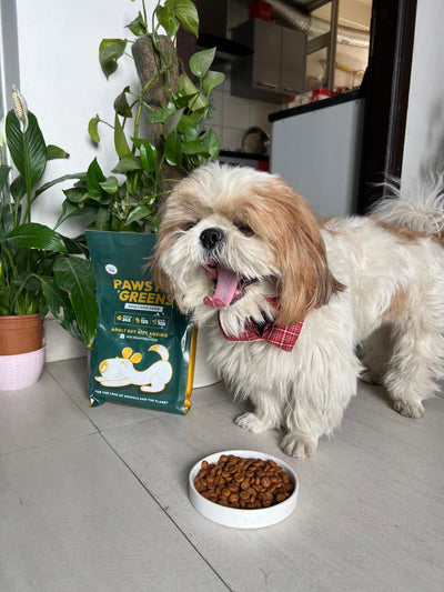 Finally, a Food My Picky Eater Loves!