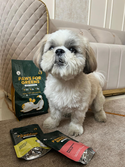 Simbha’s Tail-Wagging Transformation
