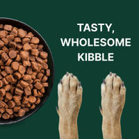 Complete vegan dog food with plant protein, Omega 3 & 6, and B12 supporting digestion, skin, immunity; grain-free, hypoallergenic