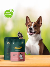 treats for dog training