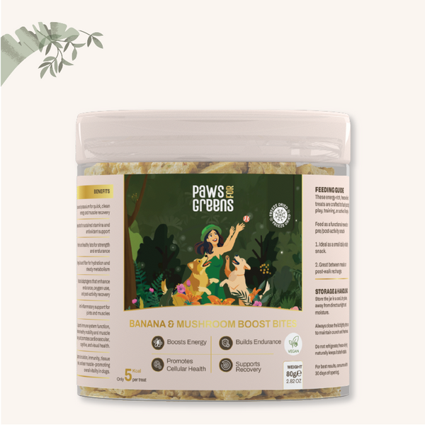 Banana & Mushroom Boost Bites