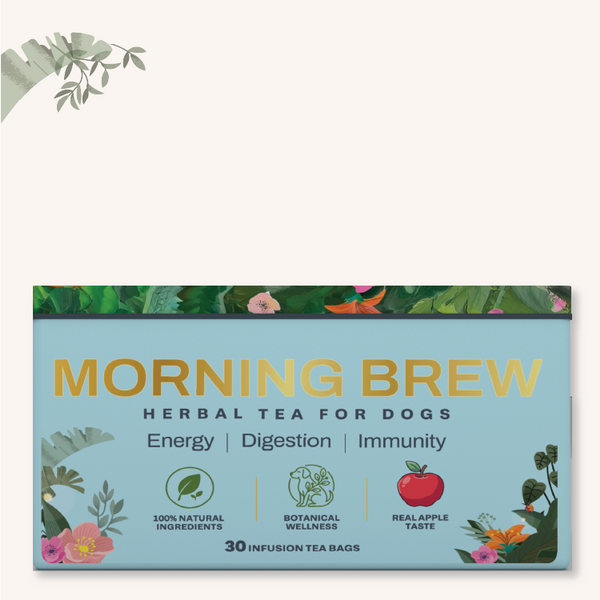 Morning Brew