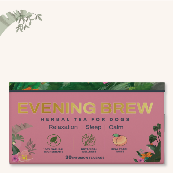 Evening Brew