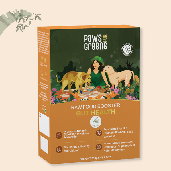 Raw Food Booster For Gut Health