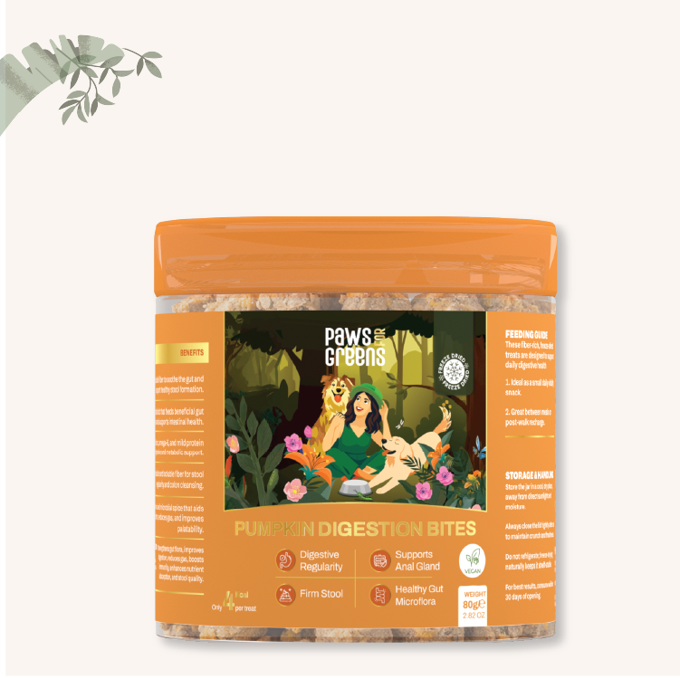 Pumpkin Digestion Bites