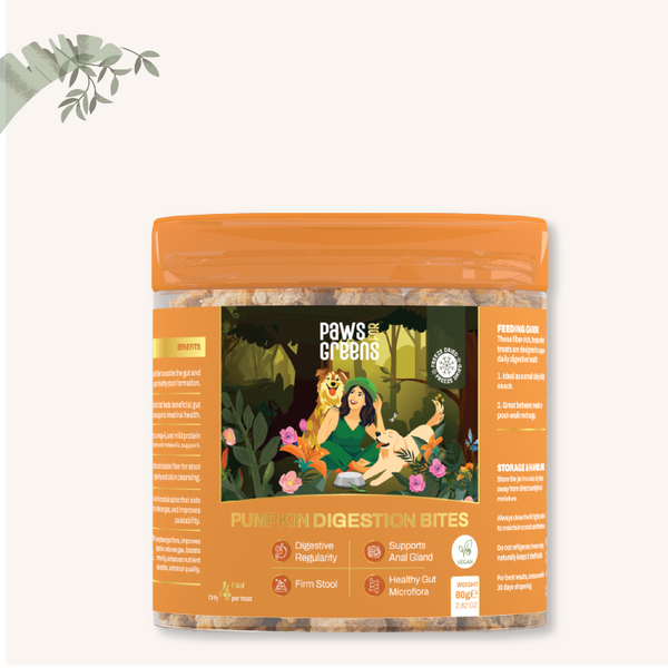 Pumpkin Digestion Bites