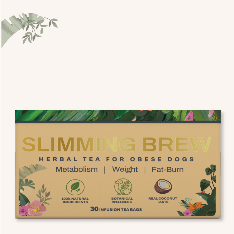 Slimming Brew