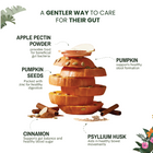 Pumpkin Digestion Bites