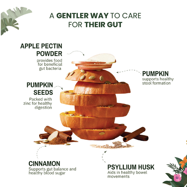 Pumpkin Digestion Bites - alternate view