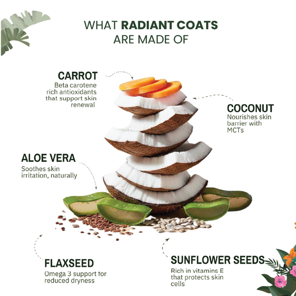 Coconut Skin & Coat Glow Bites - alternate view