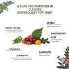 Detoxing Brew