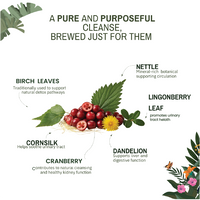 Detoxing Brew